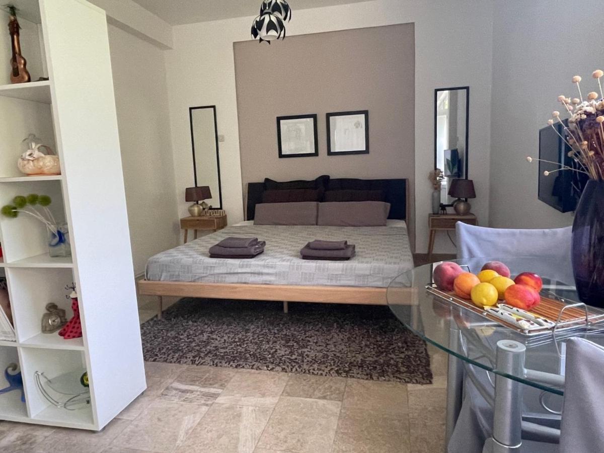 Villa Tamara With Garden And River View - Free Private Parking - Garage 모스타르 외부 사진