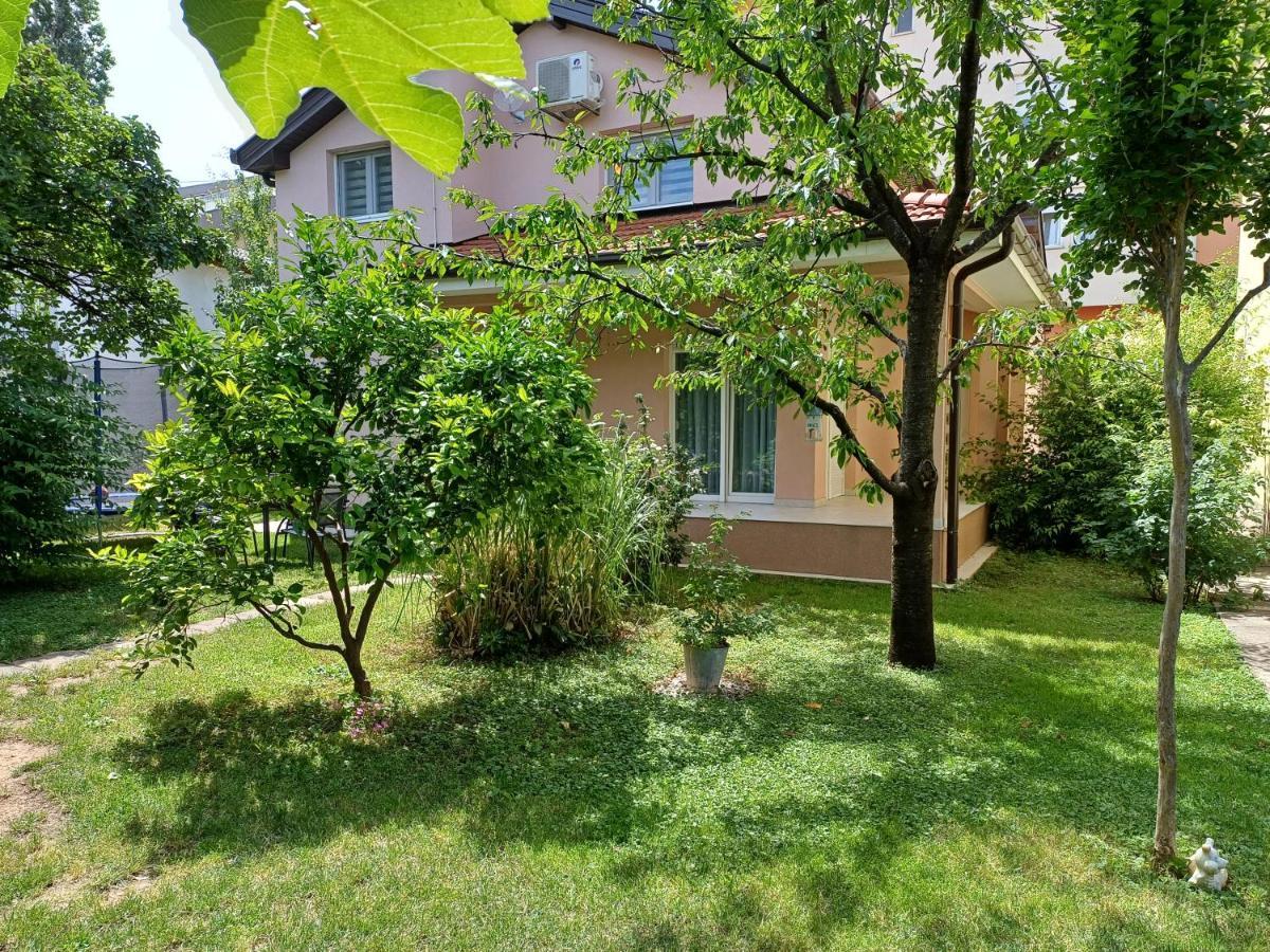 Villa Tamara With Garden And River View - Free Private Parking - Garage 모스타르 외부 사진